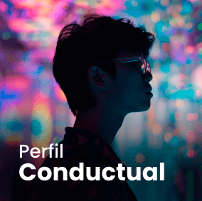 perfil conductual pda assessment