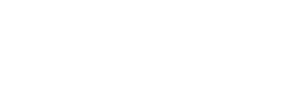 Visma Logo